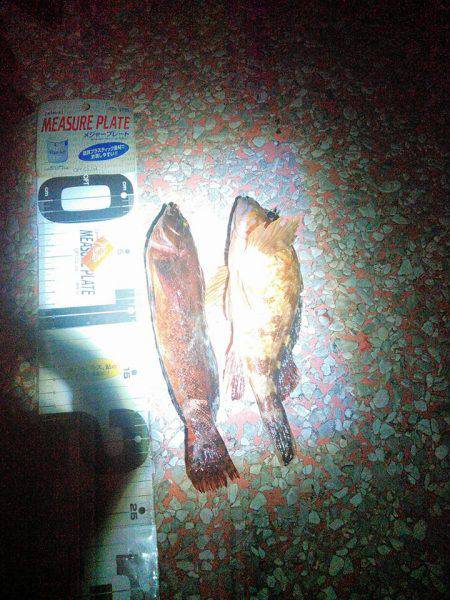 人生初フィッシュげっとん、豆まきして福は内の巻